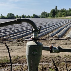 pompe d'irrigation (PIOLENC,FR84)