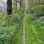 Narrow path near the border