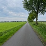 Country lane near Barlo