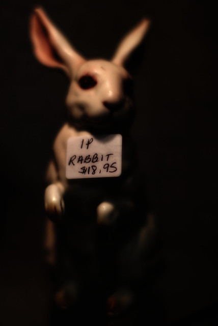 1p rabbit
