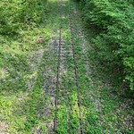Museum rail line between Bocholtz and Vetschau