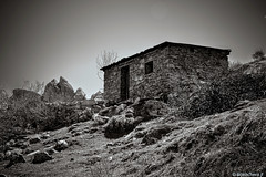 bergerie de Tatarellu-02 - Photo of Erbajolo