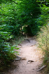 Path - Photo of Langensoultzbach