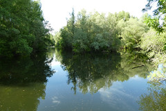 The confluence of l-Ouysse and the Dordogne - Photo of Lamothe-Fénelon