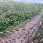 Derelict Roeschwoog - Haguenau track