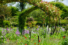 Giverny : les jardins