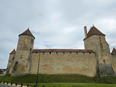 Castle of Blandy-les-Tours, 13th cent., Paris region (2)