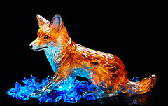 Glass Fox 