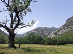 Excursió de senderisme a l-Alta Garrotxa 4 - Photo of Lamanère