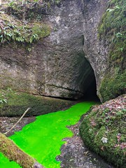 Dye tracer test in Vieille Folle cave, France