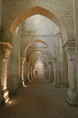 2023 Abbaye de Fontenay - Photo of Champ-d'Oiseau