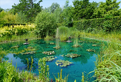 L'étang bleu (Domaine de Chaumont-sur-Loire)