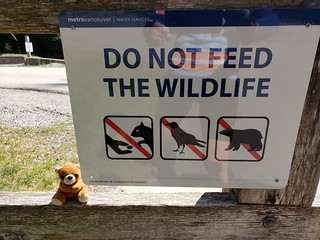 Do not feed the wildlife !!  (EXPLORE)