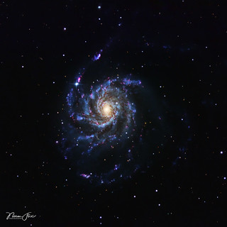 M101 Pinwheel Galaxy Supernova 2023ixf