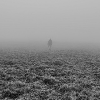 Stranger in the Fog