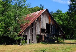 Old Barn, Along Hogscald Hollow Road -  Carroll County, Arkansas