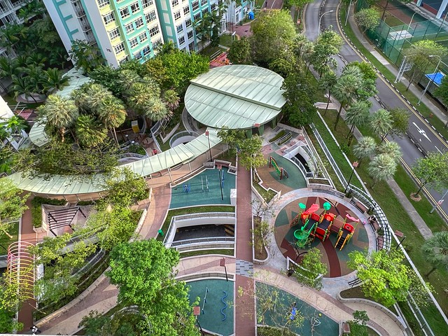 Urban City jungle- Singapore