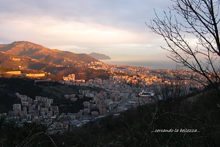 GENOVA, quartiere Marassi. La luce radente del tramonto rende ancora più bella la città. Liguria, ITALIA.