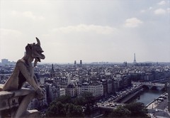 160-365 jours de la Tour Eiffel / The city from Notre-Dame (1989) 📷 Francis Mariani