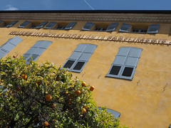 Provence & Côte d-Azur 4-5/2023 - Photo of Opio