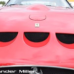 Ferrari 250 GTO Walkaround (AM-00682)