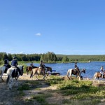 Horseback water break at lake, Our Little Farm, Ekshärad, Sweden