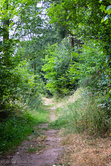 Path - Photo of Obersteinbach