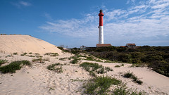 La dune gagne du terrain - Photo of Étaules