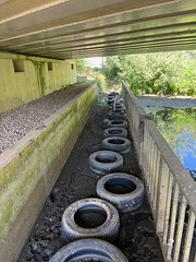 Boggy underpass! - Photo of Gorcy