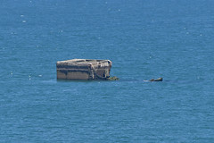 Remains of Mulberry ‘Phoenix’ Cassions off Gold Beach