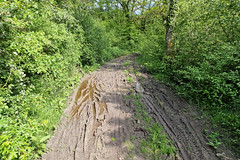 Muddy track - Photo of Oudrenne