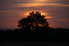 soleil levant - Photo of La Grigonnais
