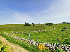 IMG_20230617_121650 - Photo of Recoules-d'Aubrac