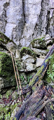 Grotte et source de Chauveroche, près d'Ornans