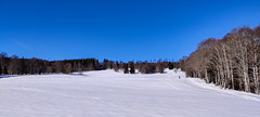 Cross-country skiing au Larmont