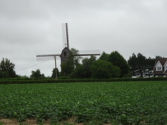 Moulin Drievenmeulen, dit Moulin du Sud  Steenvoorde. - Photo of Wallon-Cappel