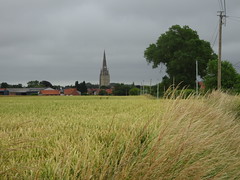 Eglise Saint-Pierre (Steenvoorde) - Photo of Wemaers-Cappel