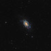 NGC2403 (Caldwell 7)