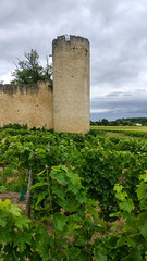 Château de Budos, Sauternes - Photo of Preignac