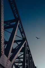 Blue Hour at the Bridge