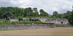 Chançay (Indre-et-Loire) - Photo of Crotelles
