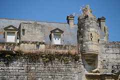 Détail du portail (XVe) du Vieux Château à Vienne-en-Bessin