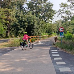 voie cyclable Via Rhona (CADEROUSSE,FR84) - Photo of Lirac