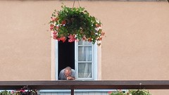 Man kijkt uit open raam - Photo of Doumely-Bégny