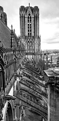 Dak en uitzicht kathedraal