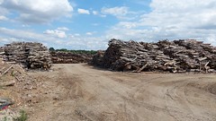 Brandhout bij ethanolfabrieken