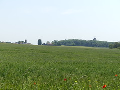 Thiepval: Near the Ulster Memorial Tower (Somme)