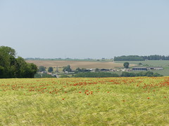 Thiepval: Near Connaught Cemetery (Somme)