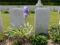 Thiepval: Connaught Cemetery (Somme)