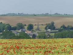 Thiepval: Near Connaught Cemetery (Somme)